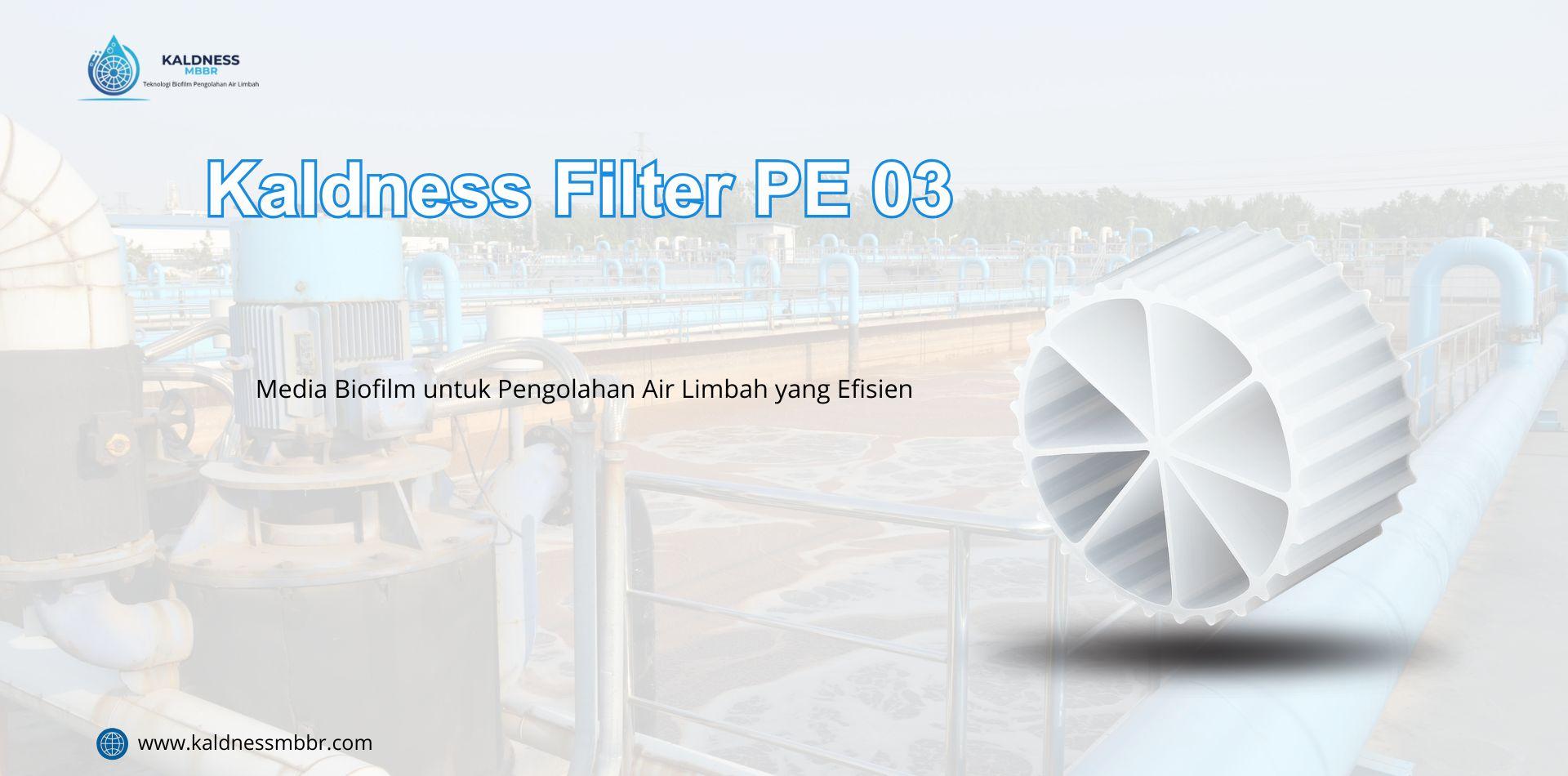 Jual Kaldness Filter PE 03